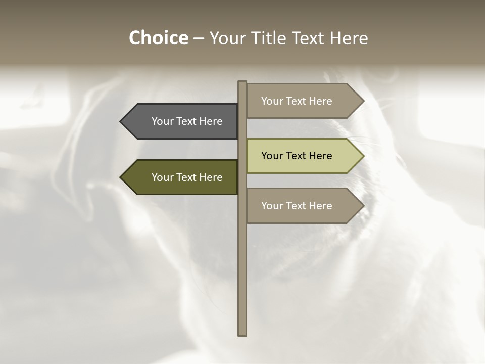 Pug Dog PowerPoint Template