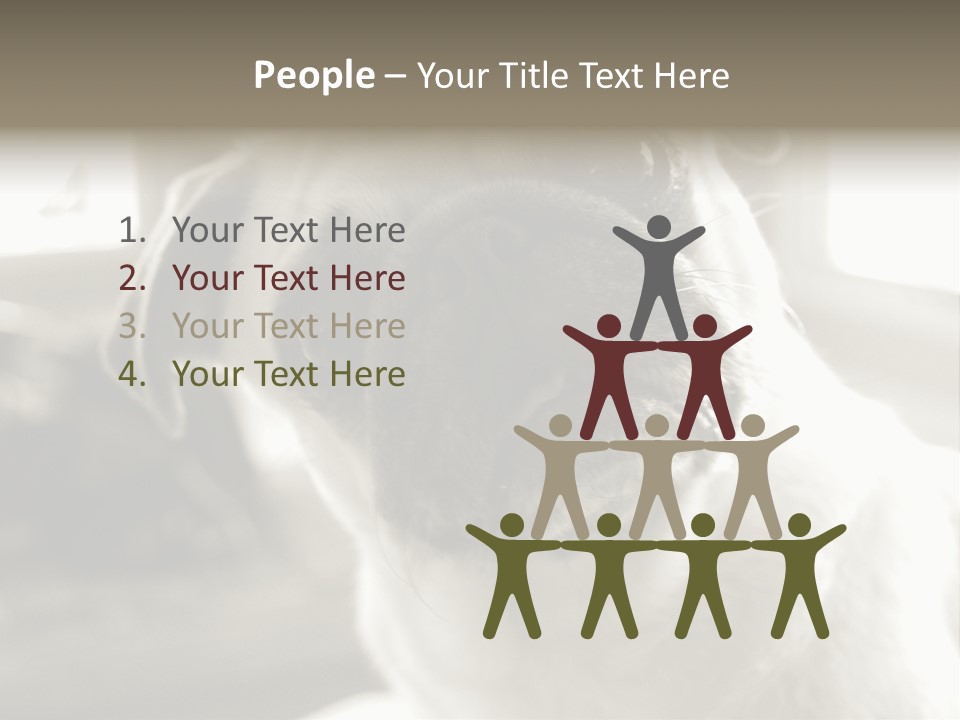 Pug Dog PowerPoint Template