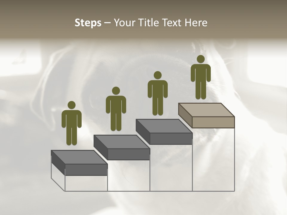 Pug Dog PowerPoint Template