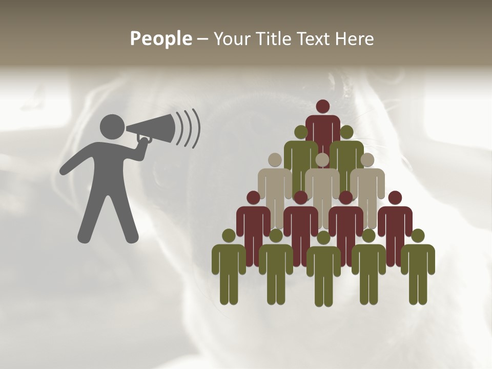 Pug Dog PowerPoint Template