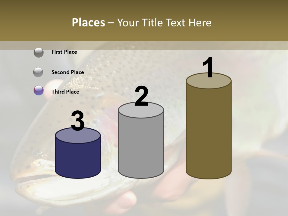 Rainbow Trout Caught Fly Fishing PowerPoint Template