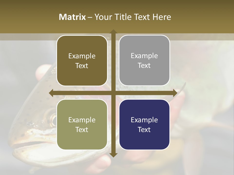 Rainbow Trout Caught Fly Fishing PowerPoint Template