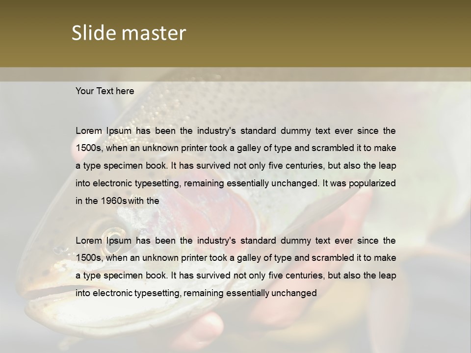 Rainbow Trout Caught Fly Fishing PowerPoint Template