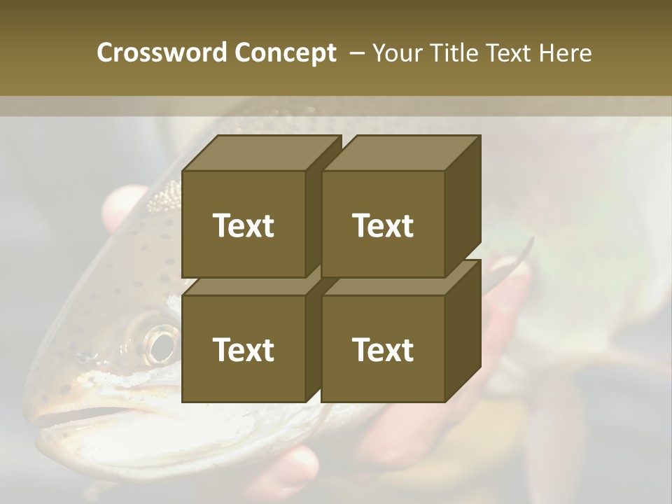 Rainbow Trout Caught Fly Fishing PowerPoint Template