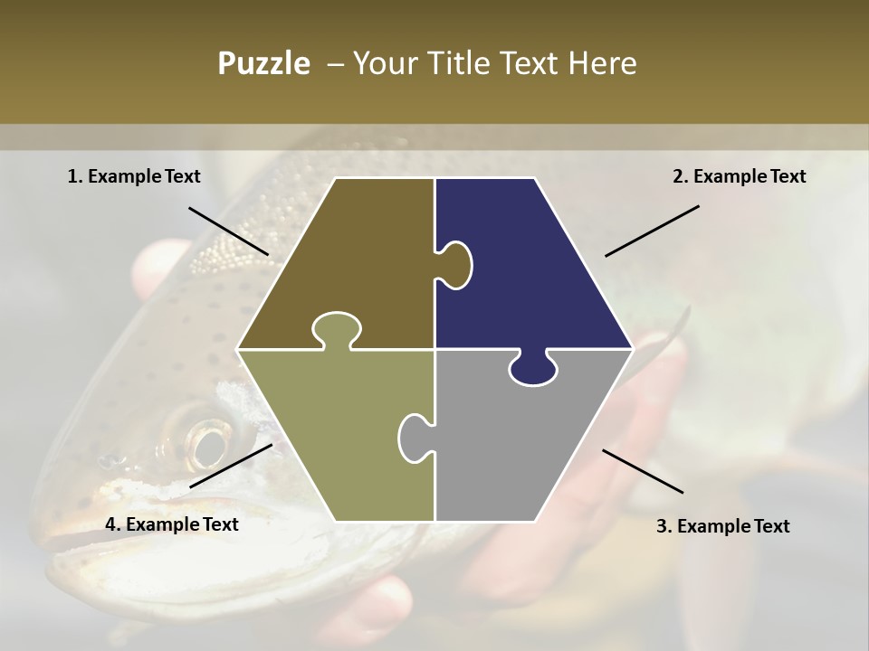 Rainbow Trout Caught Fly Fishing PowerPoint Template