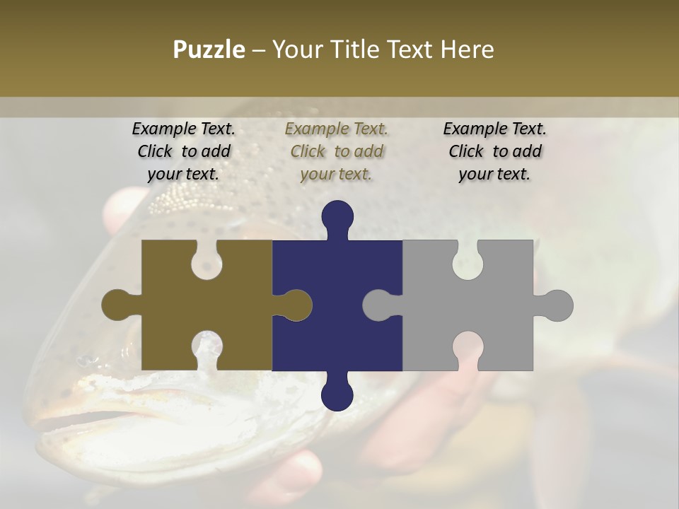 Rainbow Trout Caught Fly Fishing PowerPoint Template