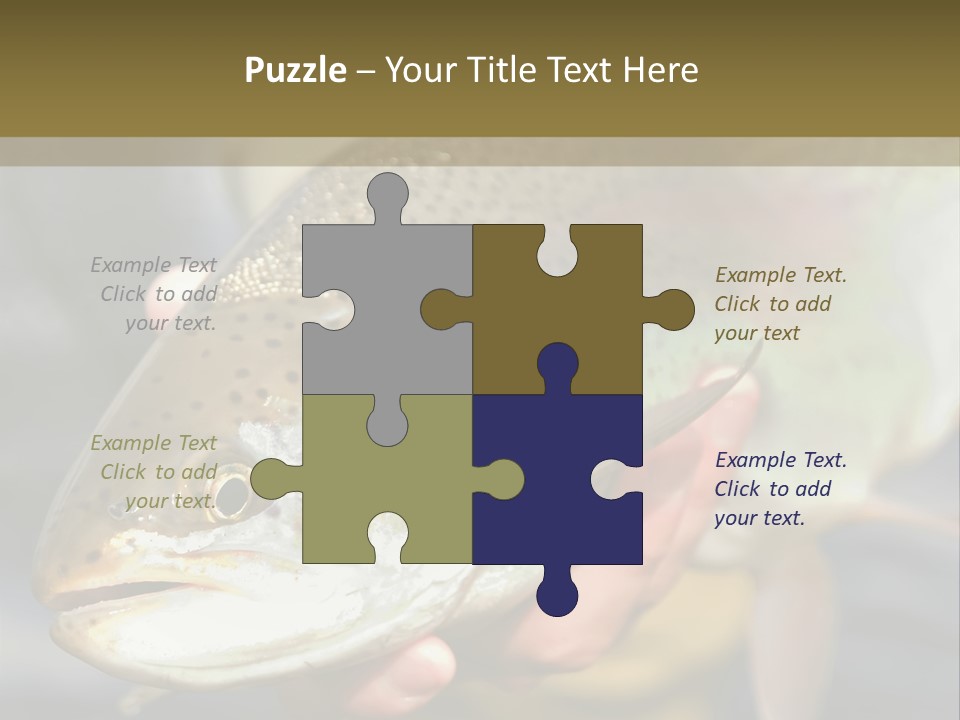 Rainbow Trout Caught Fly Fishing PowerPoint Template