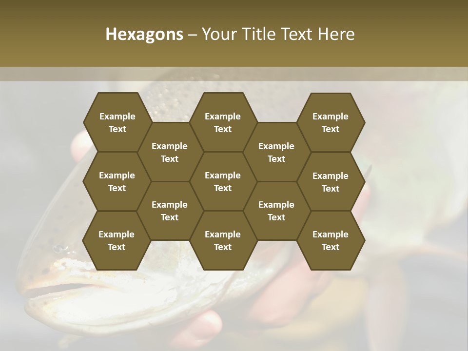 Rainbow Trout Caught Fly Fishing PowerPoint Template