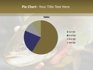 Rainbow Trout Caught Fly Fishing PowerPoint Template