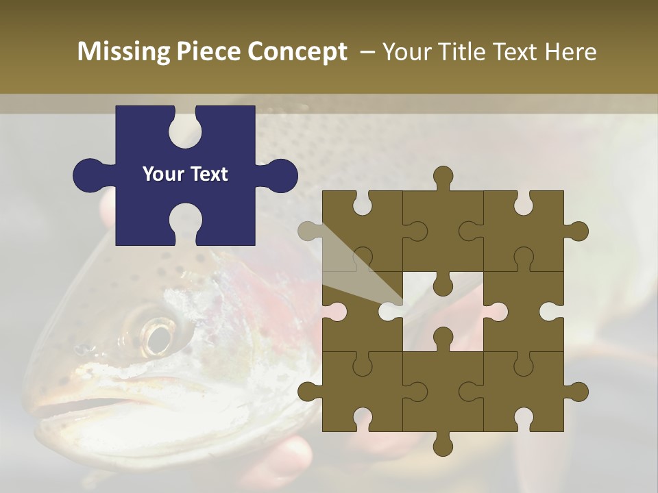 Rainbow Trout Caught Fly Fishing PowerPoint Template