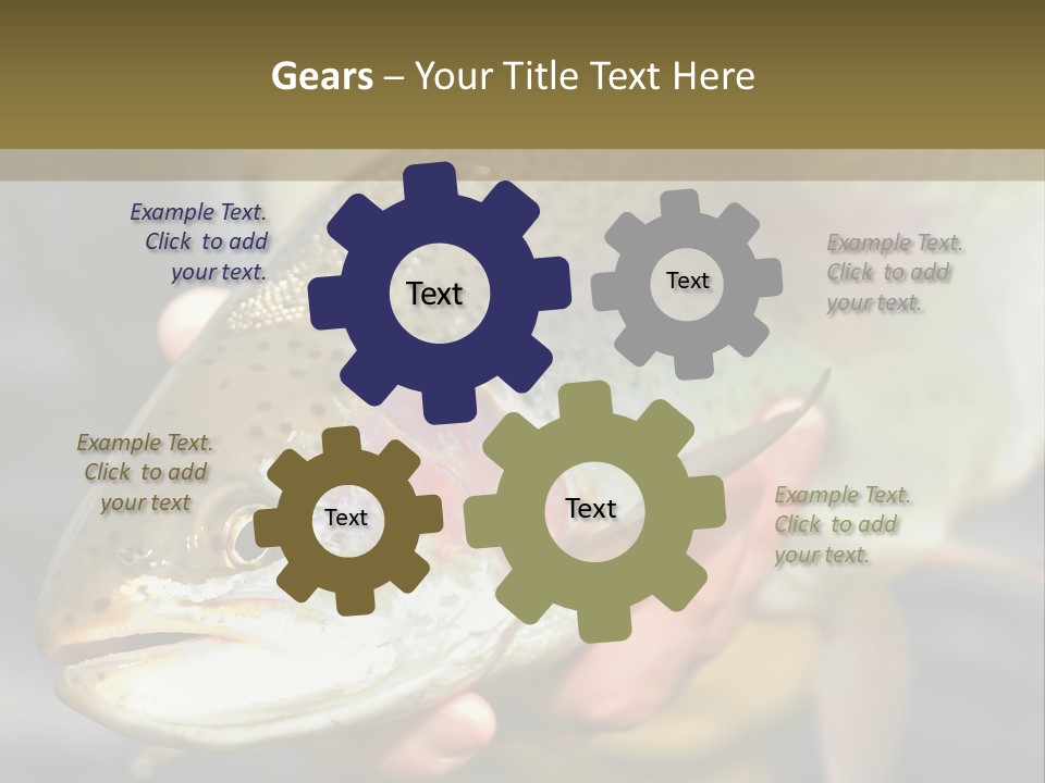 Rainbow Trout Caught Fly Fishing PowerPoint Template