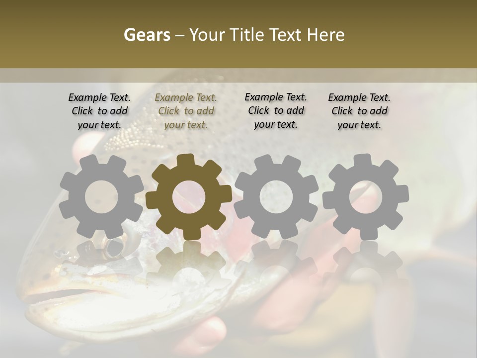 Rainbow Trout Caught Fly Fishing PowerPoint Template