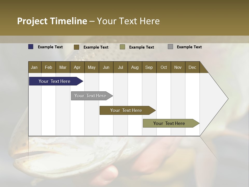 Rainbow Trout Caught Fly Fishing PowerPoint Template