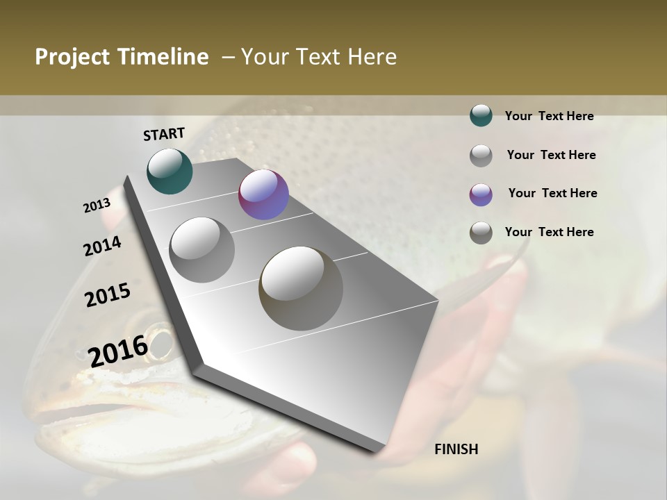 Rainbow Trout Caught Fly Fishing PowerPoint Template