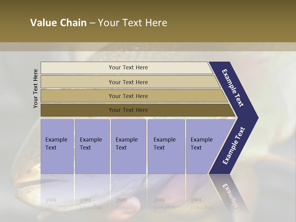 Rainbow Trout Caught Fly Fishing PowerPoint Template