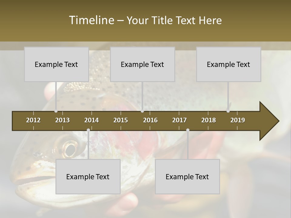 Rainbow Trout Caught Fly Fishing PowerPoint Template