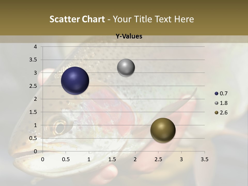 Rainbow Trout Caught Fly Fishing PowerPoint Template