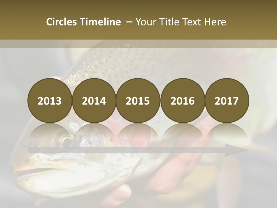 Rainbow Trout Caught Fly Fishing PowerPoint Template