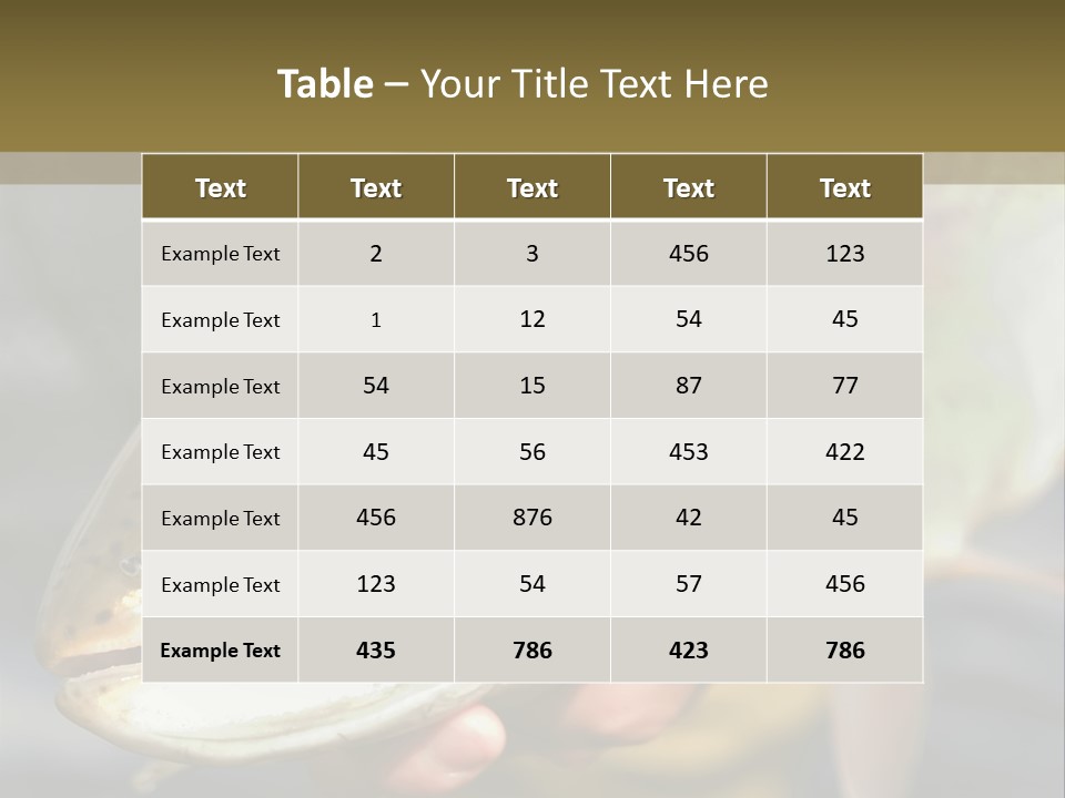 Rainbow Trout Caught Fly Fishing PowerPoint Template