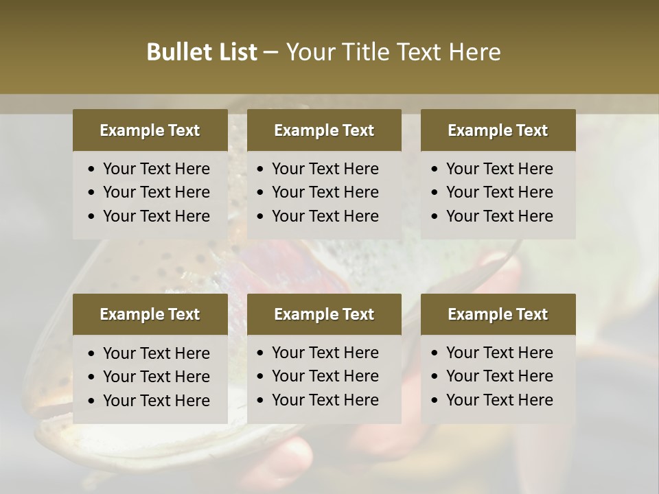 Rainbow Trout Caught Fly Fishing PowerPoint Template