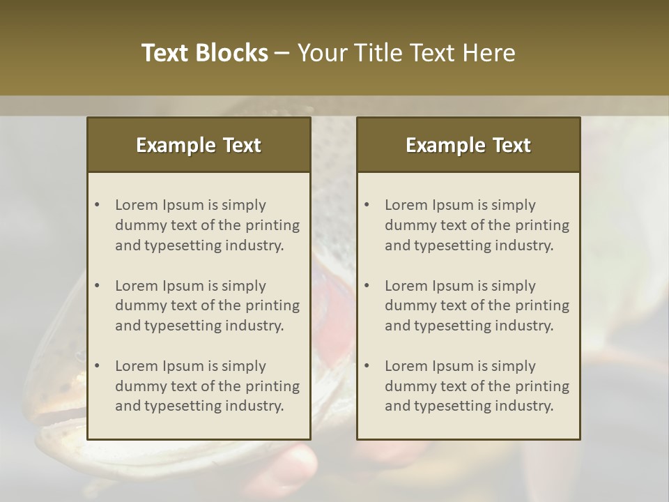 Rainbow Trout Caught Fly Fishing PowerPoint Template