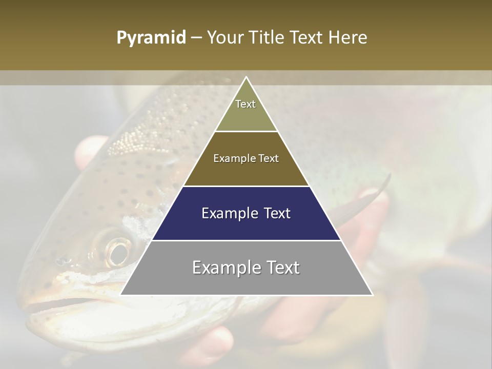 Rainbow Trout Caught Fly Fishing PowerPoint Template