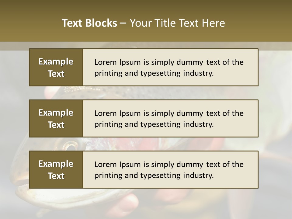 Rainbow Trout Caught Fly Fishing PowerPoint Template