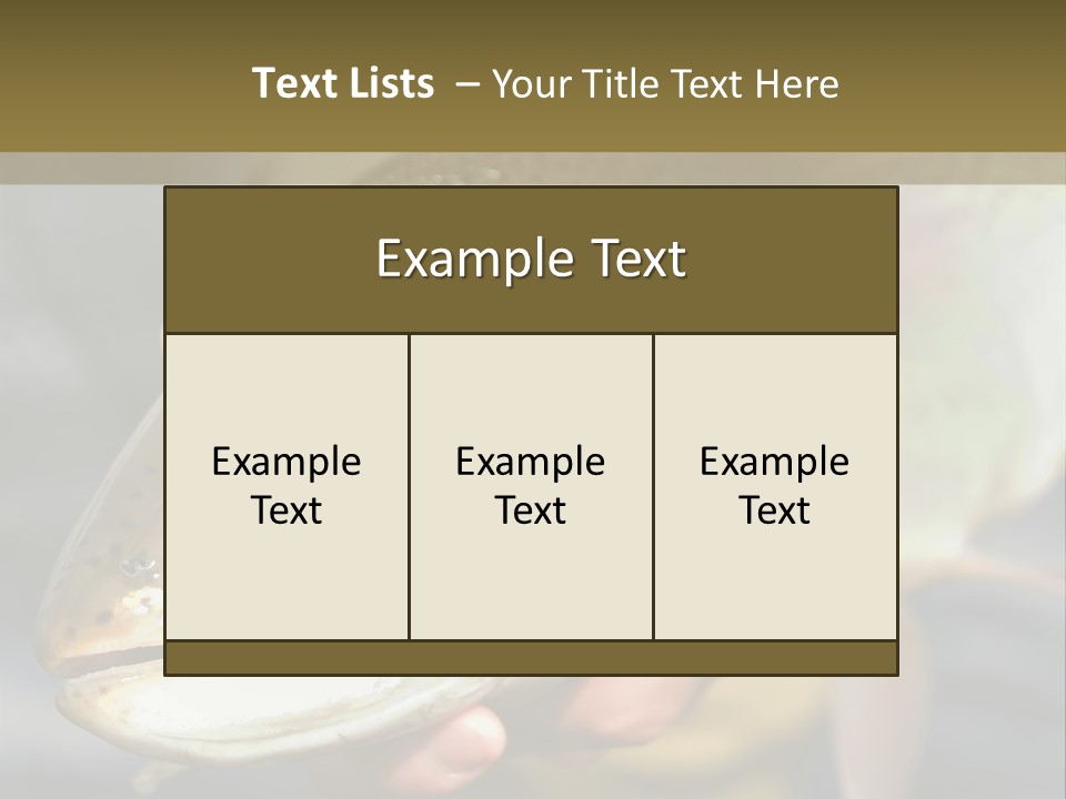 Rainbow Trout Caught Fly Fishing PowerPoint Template