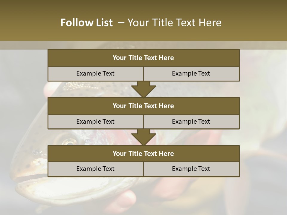 Rainbow Trout Caught Fly Fishing PowerPoint Template