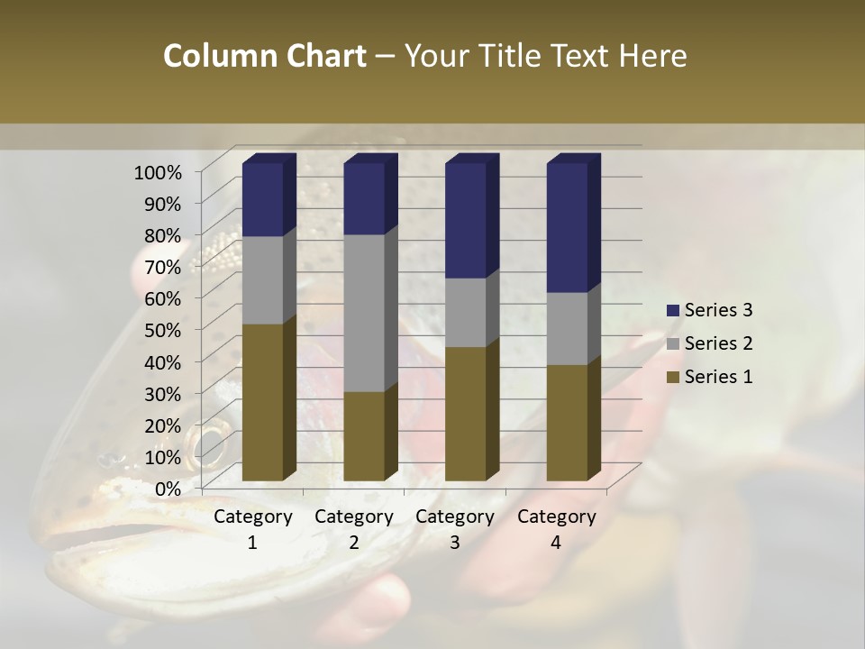 Rainbow Trout Caught Fly Fishing PowerPoint Template