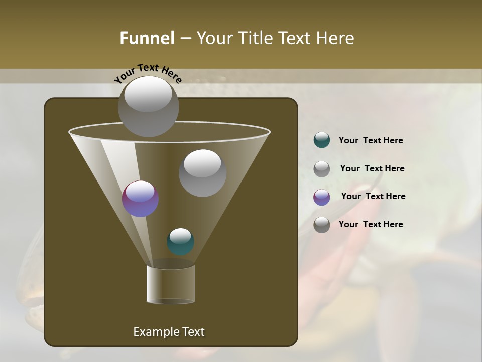 Rainbow Trout Caught Fly Fishing PowerPoint Template