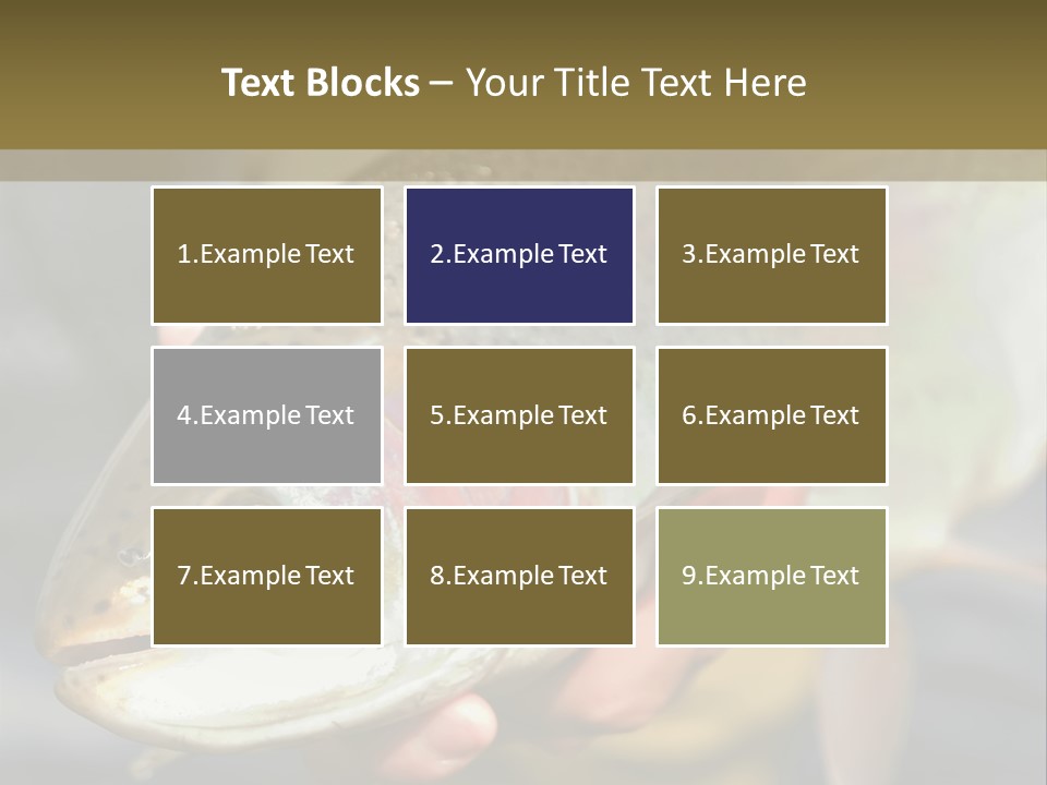 Rainbow Trout Caught Fly Fishing PowerPoint Template