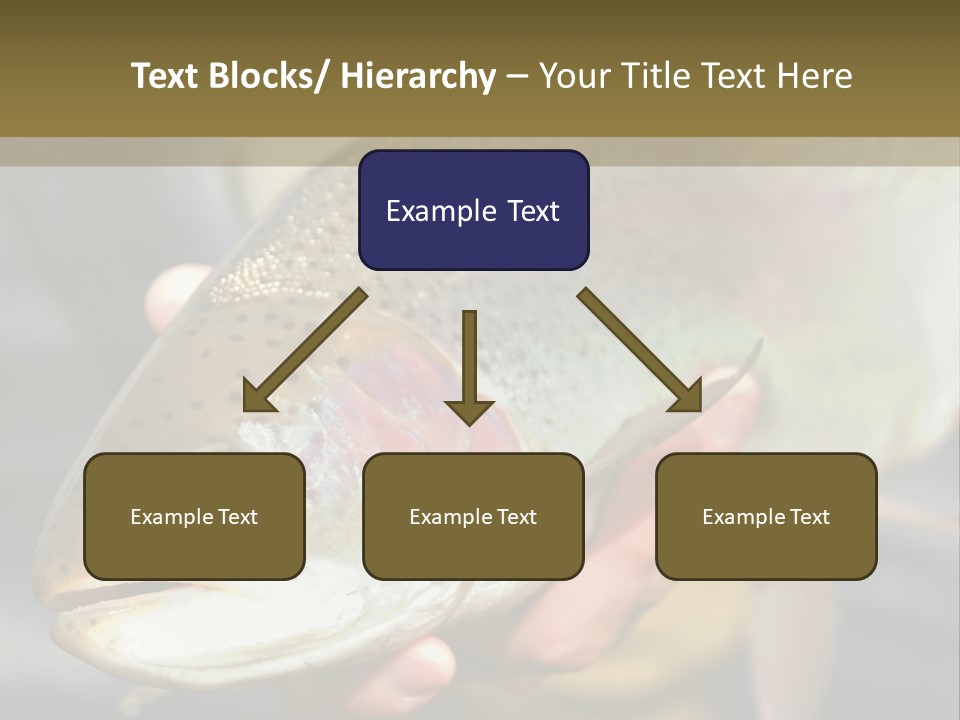 Rainbow Trout Caught Fly Fishing PowerPoint Template