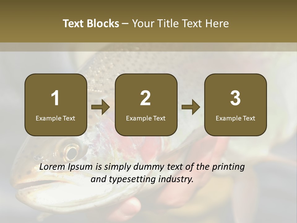 Rainbow Trout Caught Fly Fishing PowerPoint Template