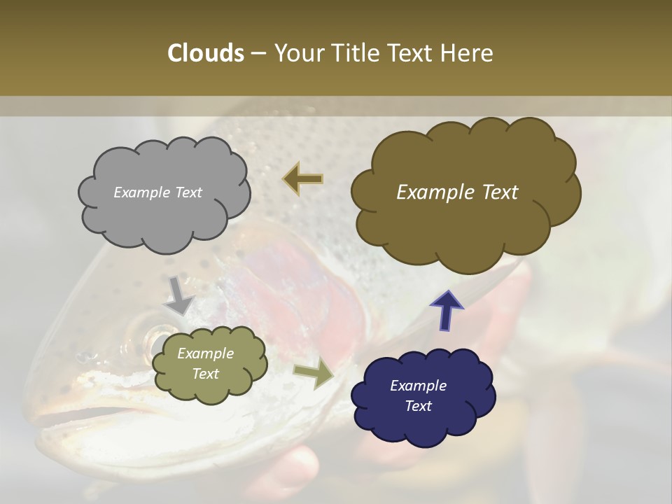 Rainbow Trout Caught Fly Fishing PowerPoint Template