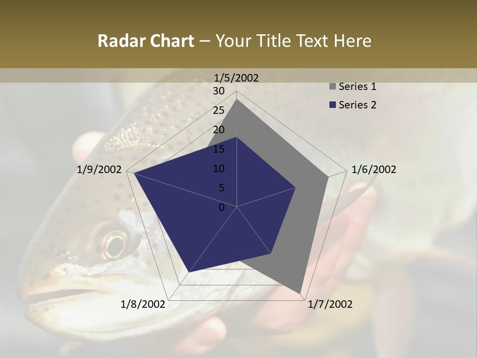 Rainbow Trout Caught Fly Fishing PowerPoint Template