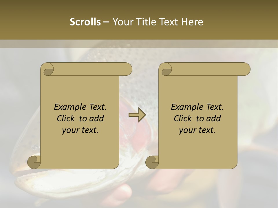 Rainbow Trout Caught Fly Fishing PowerPoint Template