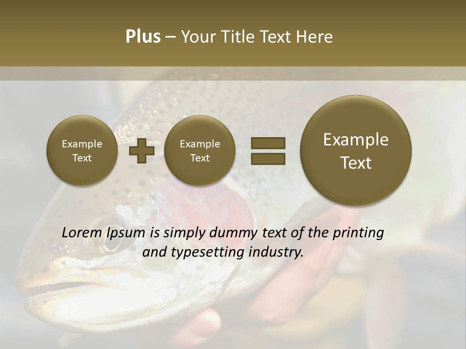 Rainbow Trout Caught Fly Fishing PowerPoint Template