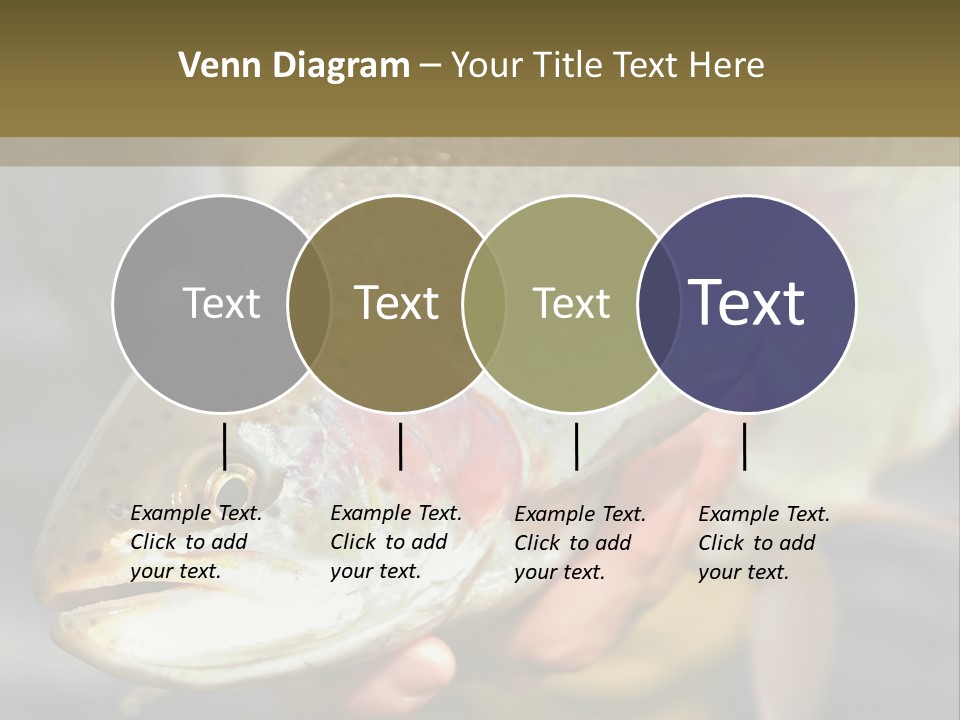 Rainbow Trout Caught Fly Fishing PowerPoint Template