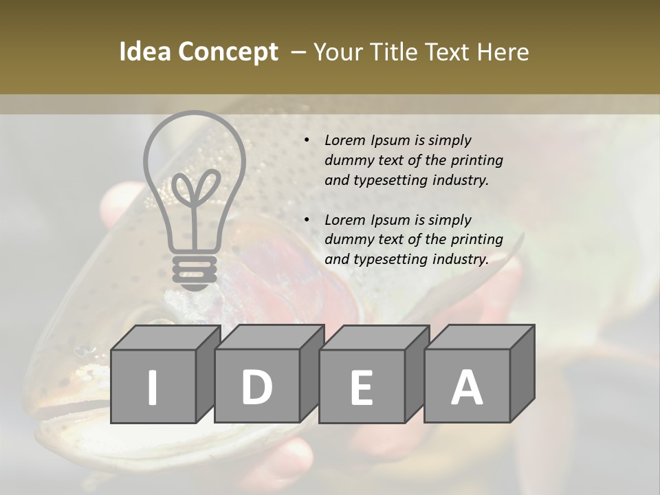 Rainbow Trout Caught Fly Fishing PowerPoint Template