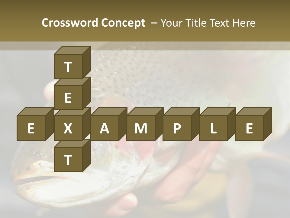 Rainbow Trout Caught Fly Fishing PowerPoint Template