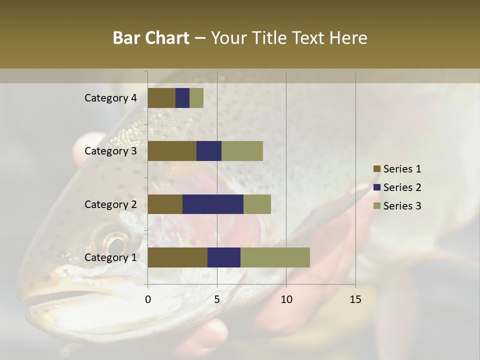 Rainbow Trout Caught Fly Fishing PowerPoint Template