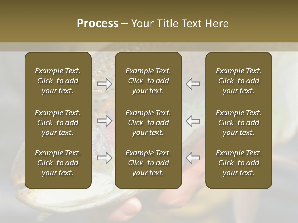 Rainbow Trout Caught Fly Fishing PowerPoint Template