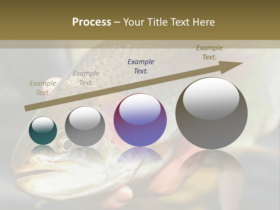 Rainbow Trout Caught Fly Fishing PowerPoint Template