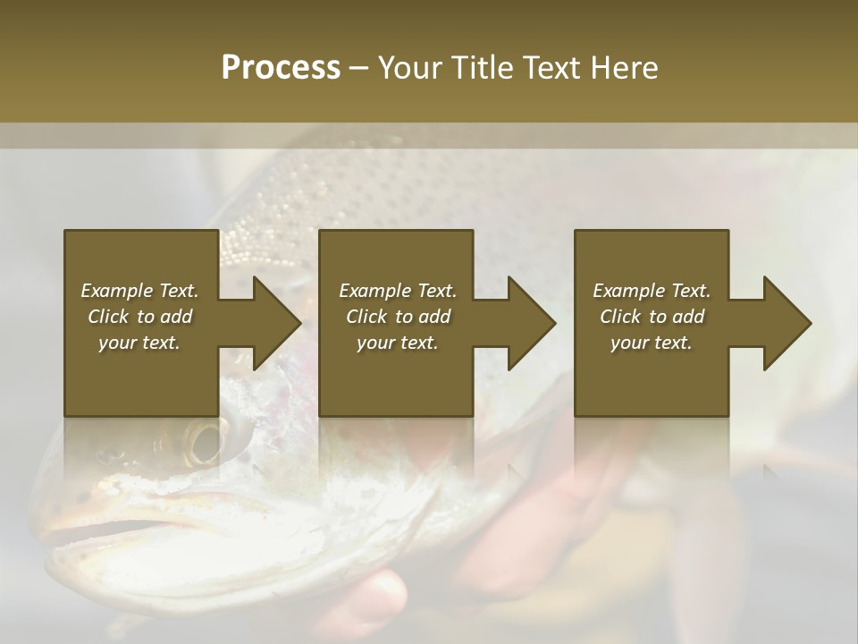 Rainbow Trout Caught Fly Fishing PowerPoint Template
