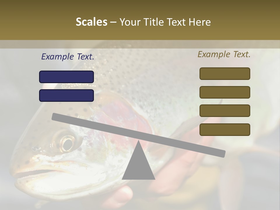 Rainbow Trout Caught Fly Fishing PowerPoint Template