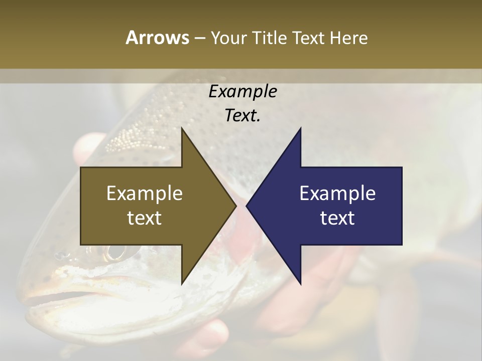 Rainbow Trout Caught Fly Fishing PowerPoint Template