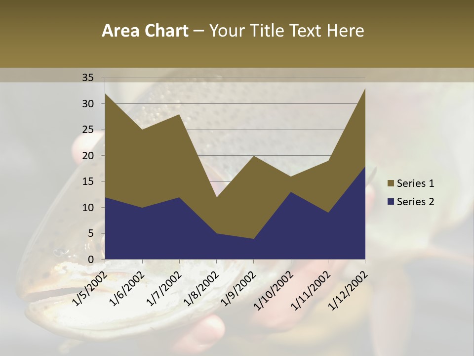 Rainbow Trout Caught Fly Fishing PowerPoint Template
