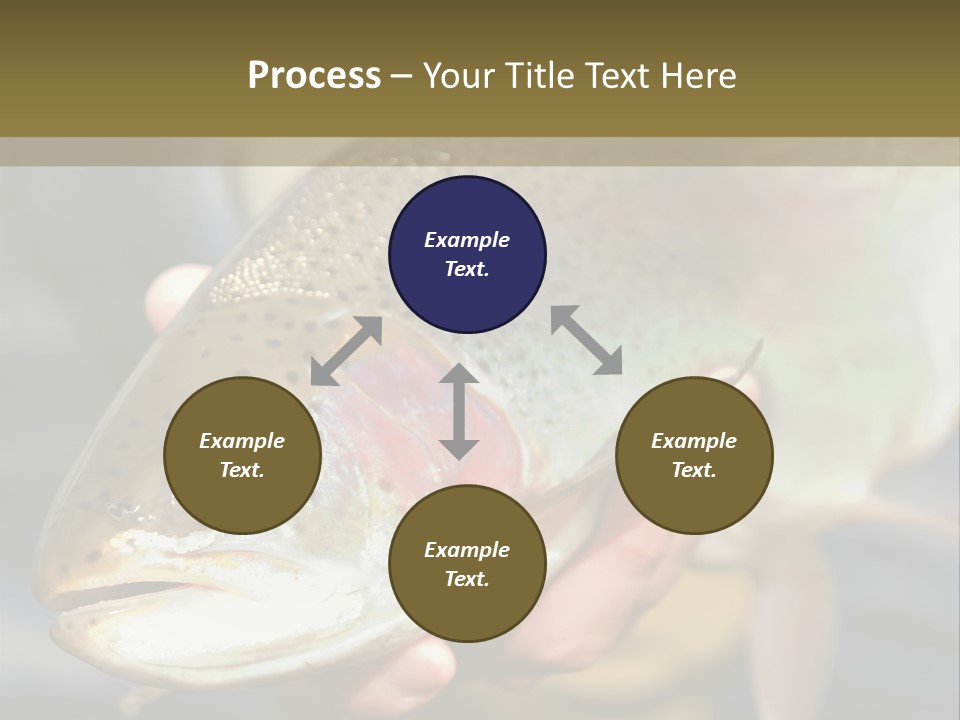 Rainbow Trout Caught Fly Fishing PowerPoint Template