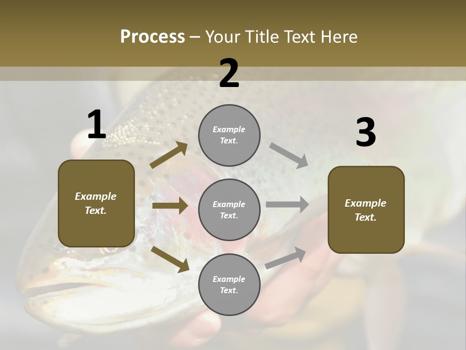 Rainbow Trout Caught Fly Fishing PowerPoint Template